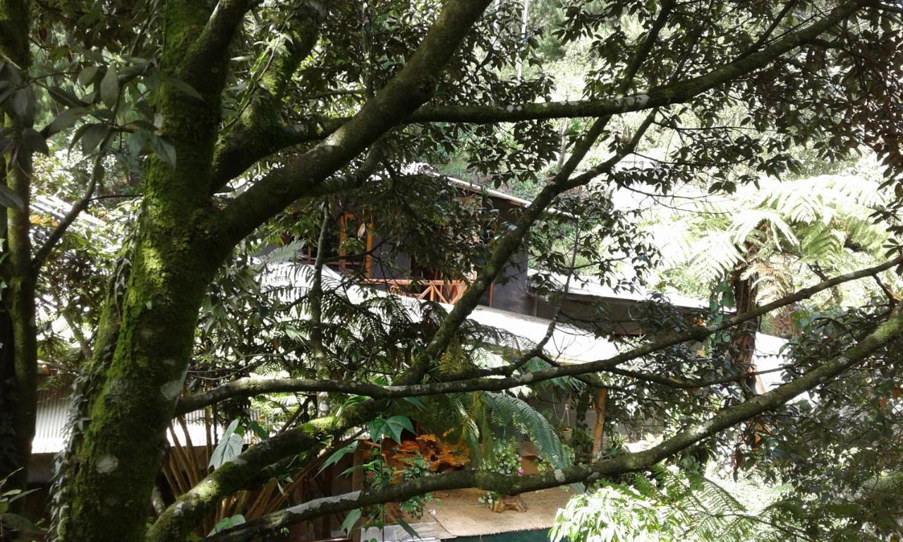 King Fern Cottage Nuwara Eliya Luaran gambar
