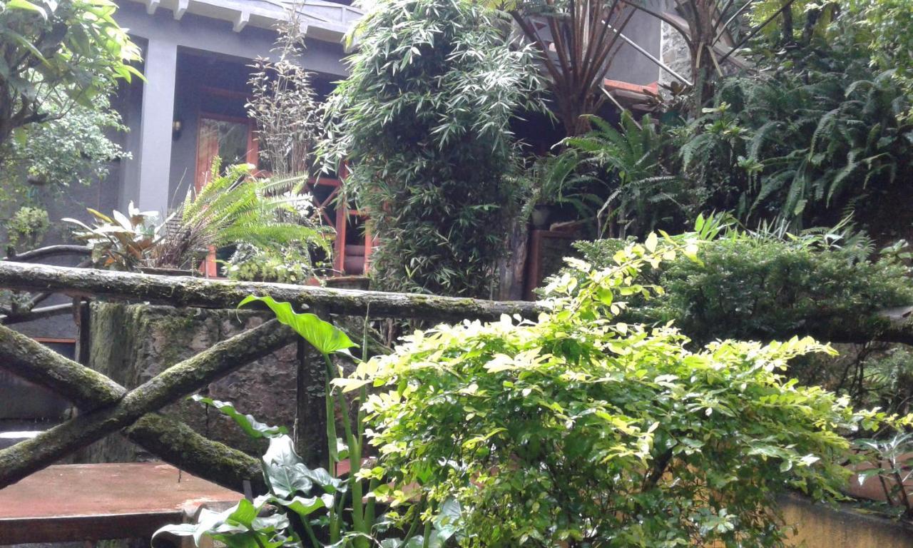 King Fern Cottage Nuwara Eliya Luaran gambar