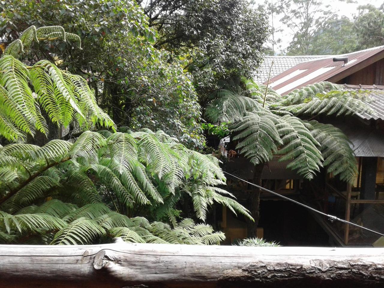 King Fern Cottage Nuwara Eliya Luaran gambar